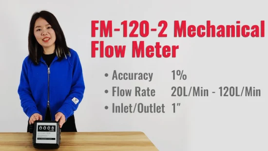 1 Zoll Turbine Mechanischer Dieselzähler Digitaler Benzinverbrauch Kraftstoffdurchflussmesser